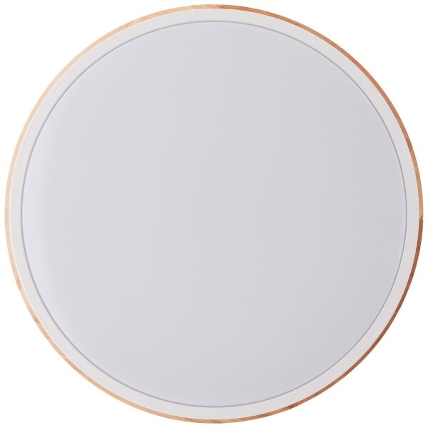 Brilliant - LED Stm stropní svítidlo BAARLO LED/24W/230V pr. 35 cm bílá
