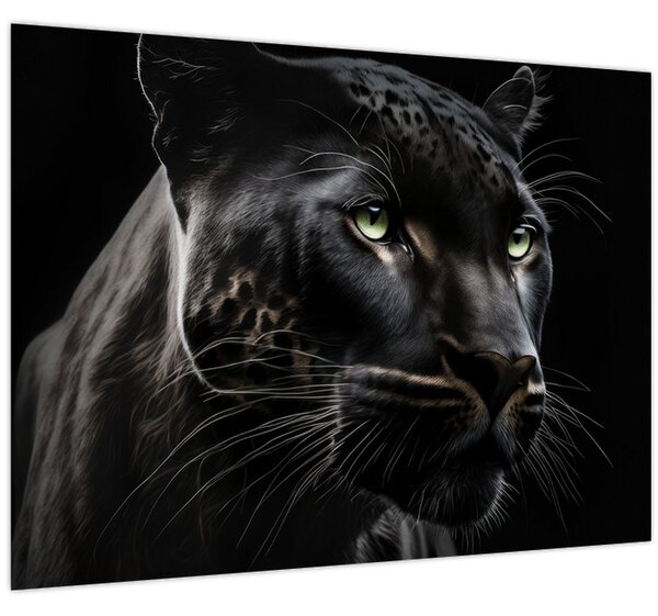 Obraz - Černý panter (70x50 cm)