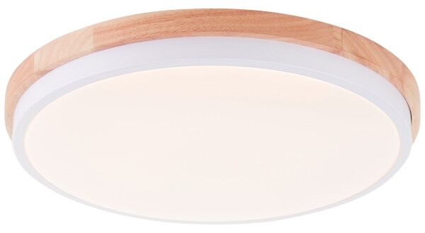 Brilliant - LED Stm stropní svítidlo BAARLO LED/24W/230V pr. 35 cm bílá