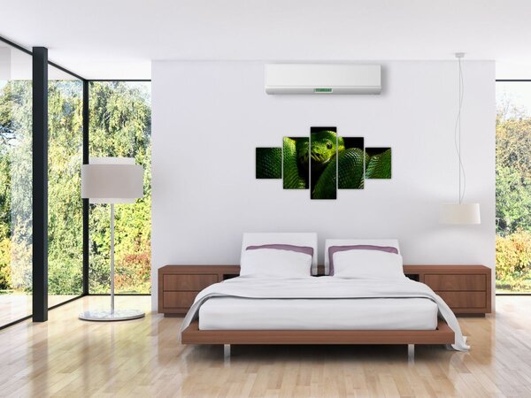 Obraz - Zelený had (125x70 cm)