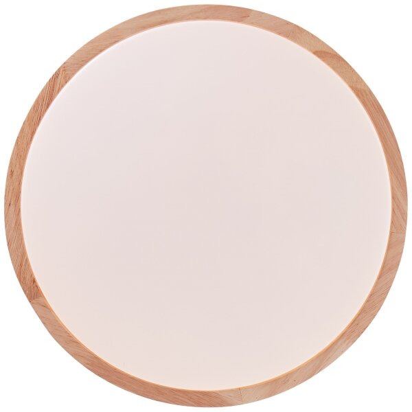 Brilliant - LED Stropní svítidlo SLIMLINE LED/14W/230V 3000/4000K