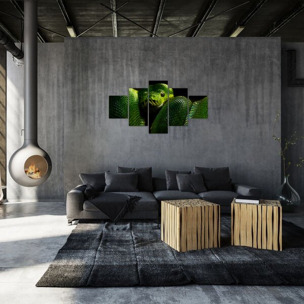 Obraz - Zelený had (125x70 cm)