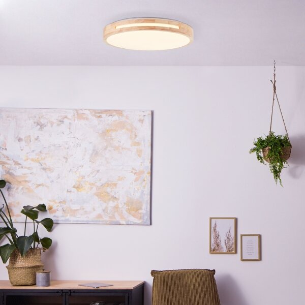 Brilliant - LED Stmívatelné stropní svítidlo WOODBURY LED/24W/230V pr. 39 cm