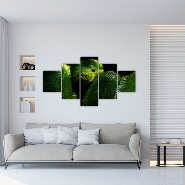 Obraz - Zelený had (125x70 cm)