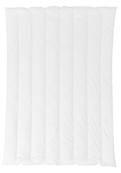 ZIMNÍ PŘIKRÝVKA, 135/200 cm, duté vlákno Centa-Star - Přikrývky