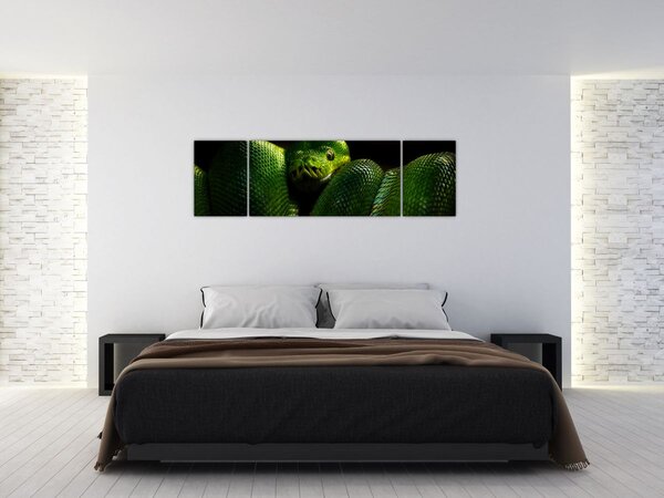 Obraz - Zelený had (170x50 cm)