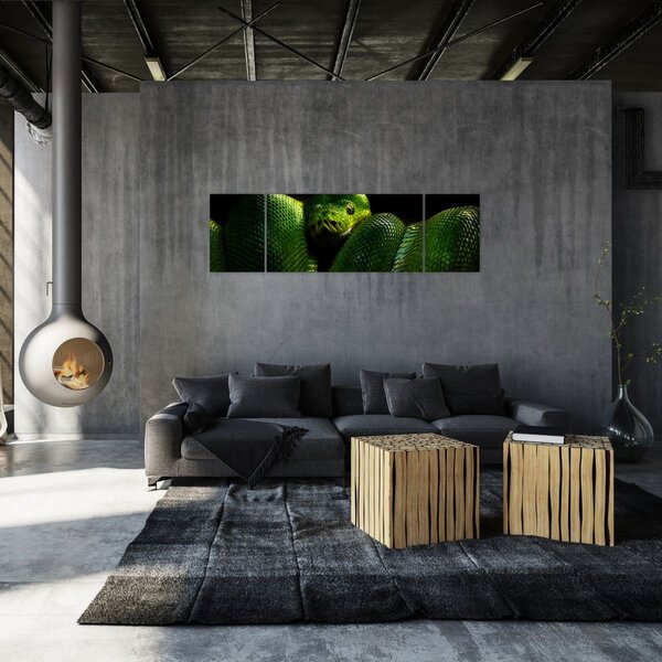 Obraz - Zelený had (170x50 cm)