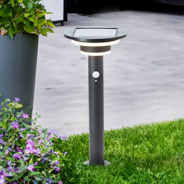 Brilliant - LED Solární lampa se senzorem GARVINA LED/3W/3,7V 45 cm IP44 černá