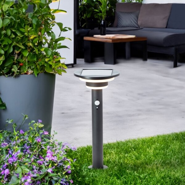 Brilliant - LED Solární lampa se senzorem GARVINA LED/3W/3,7V 45 cm IP44 černá
