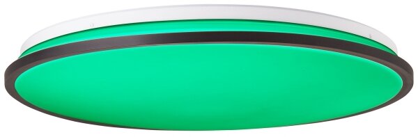 Brilliant-LED RGBW Stmívatelné stropní svítidlo HEIDA LED/30W/230V 3000-6500K+DO