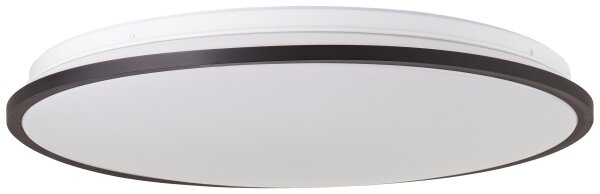 Brilliant-LED RGBW Stmívatelné stropní svítidlo HEIDA LED/30W/230V 3000-6500K+DO