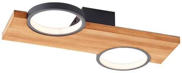 Brilliant - LED Stropní svítidlo CHEESY LED/14W/230V