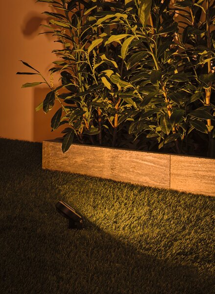 Paulmann 94728 Plug&Shine Sting, zahradní reflektor 6W LED 2200K, antracit, IP67