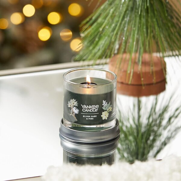 Střední vonná svíčka Yankee Candle Sage & Pine Signature
