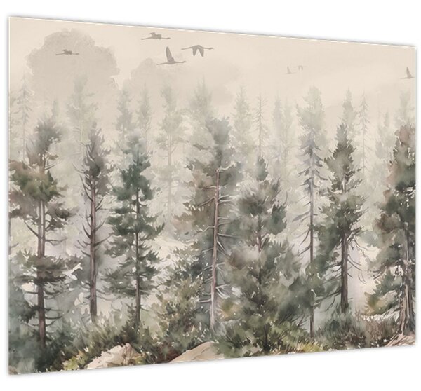Obraz - Borovicový les I., aquarel (70x50 cm)