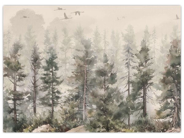 Obraz - Borovicový les I., aquarel (70x50 cm)