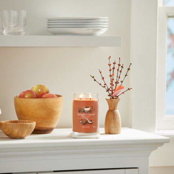 -25 % Dny MOMENTI– Velká vonná svíčka Yankee Candle Cinnamon Stick Signature