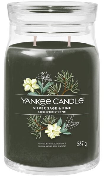 Velká vonná svíčka Yankee Candle Silver Sage & Pine Signature