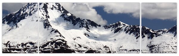 Obraz - Národní park Kenai Fjords (170x50 cm)