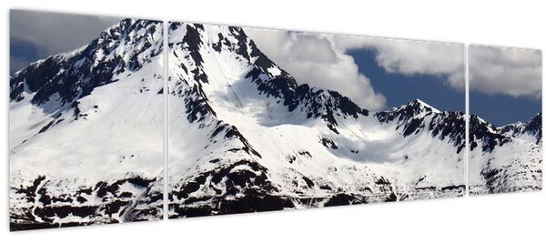 Obraz - Národní park Kenai Fjords (170x50 cm)