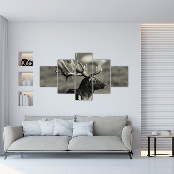 Obraz - Jelen (125x70 cm)
