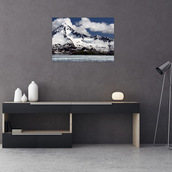 Obraz - Národní park Kenai Fjords (70x50 cm)