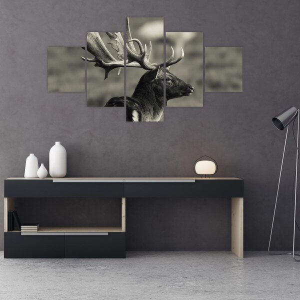 Obraz - Jelen (125x70 cm)