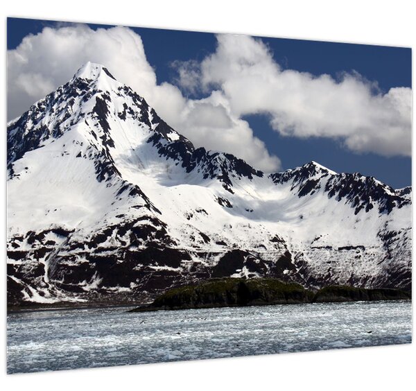 Obraz - Národní park Kenai Fjords (70x50 cm)