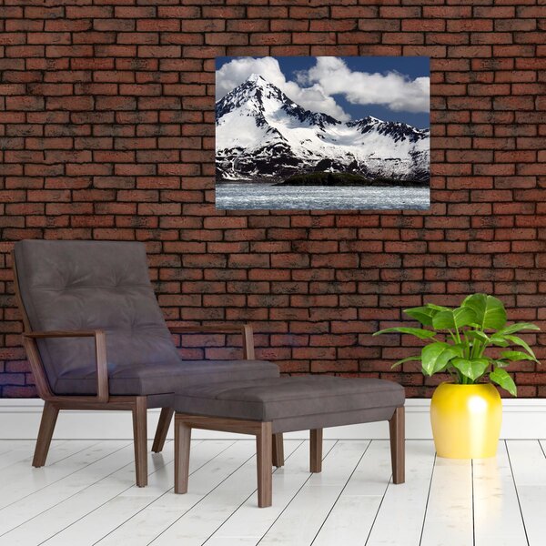 Obraz - Národní park Kenai Fjords (70x50 cm)