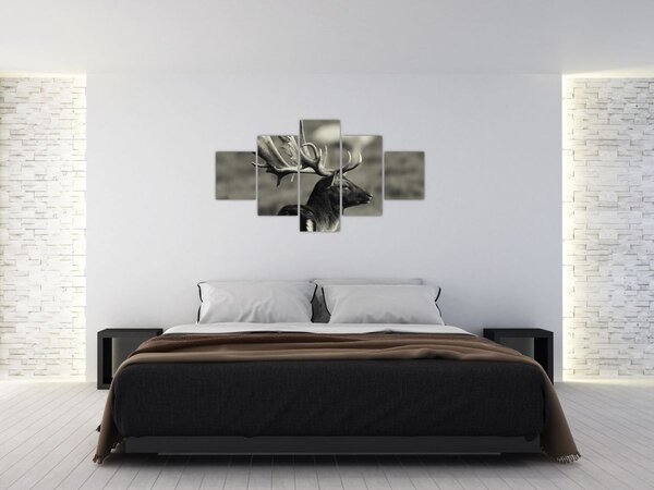 Obraz - Jelen (125x70 cm)