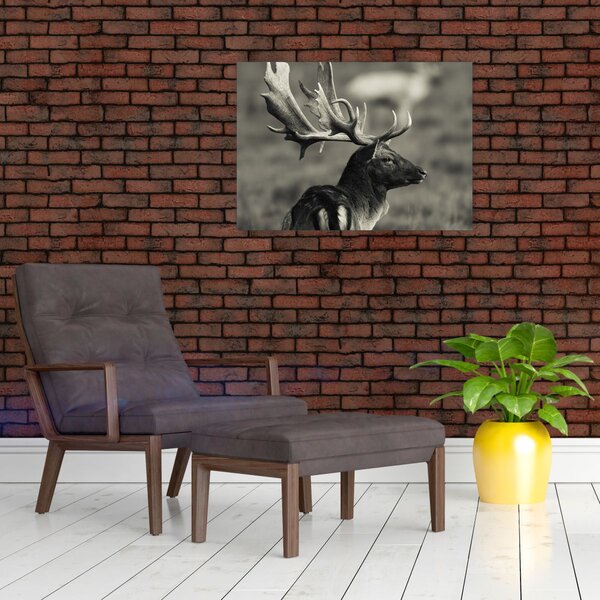 Obraz - Jelen (70x50 cm)