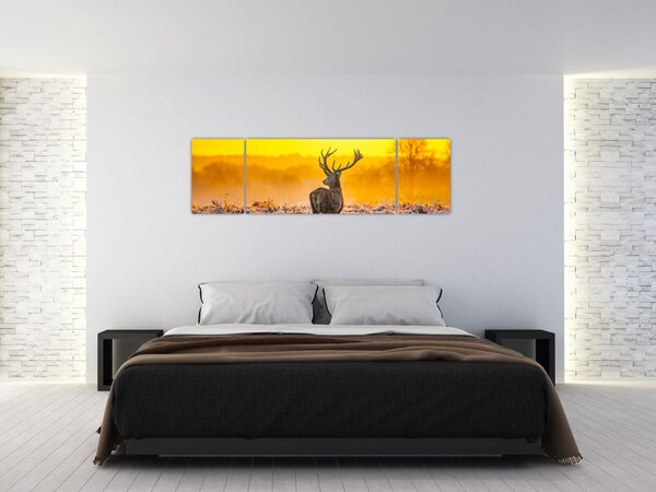 Obraz - Jelen při východu slunce (170x50 cm)