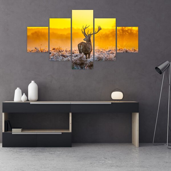 Obraz - Jelen při východu slunce (125x70 cm)