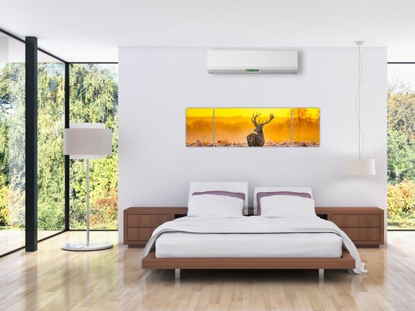 Obraz - Jelen při východu slunce (170x50 cm)