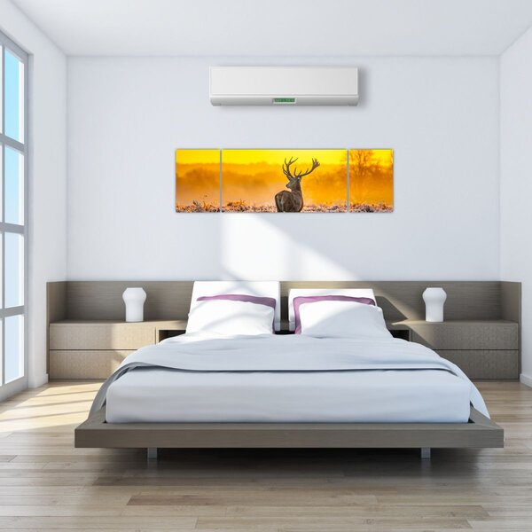 Obraz - Jelen při východu slunce (170x50 cm)