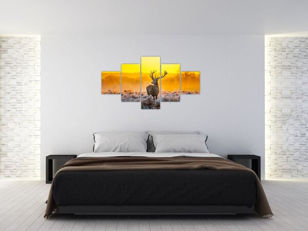 Obraz - Jelen při východu slunce (125x70 cm)