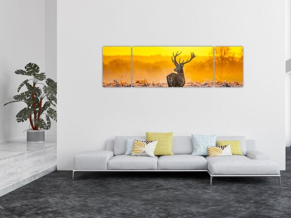 Obraz - Jelen při východu slunce (170x50 cm)