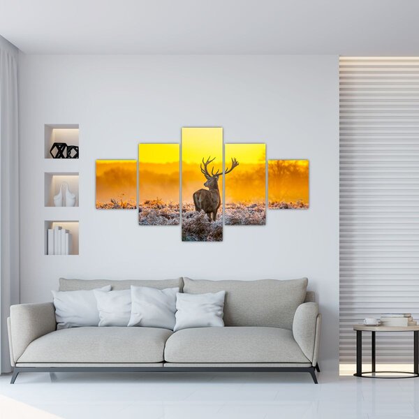 Obraz - Jelen při východu slunce (125x70 cm)