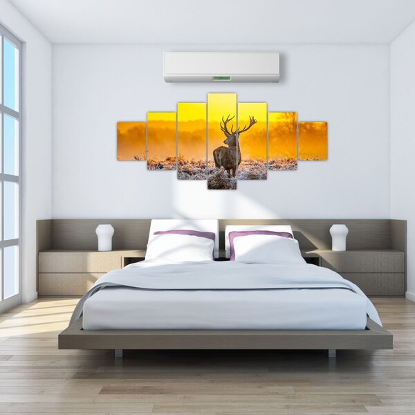 Obraz - Jelen při východu slunce (210x100 cm)