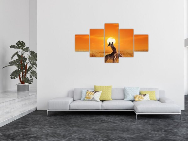 Obraz - Žirafy v národním parku Serengeti (125x70 cm)