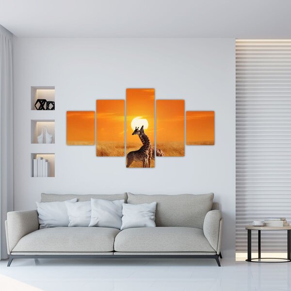 Obraz - Žirafy v národním parku Serengeti (125x70 cm)