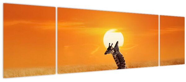 Obraz - Žirafy v národním parku Serengeti (170x50 cm)