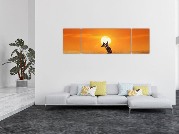 Obraz - Žirafy v národním parku Serengeti (170x50 cm)