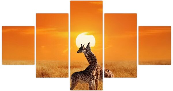 Obraz - Žirafy v národním parku Serengeti (125x70 cm)