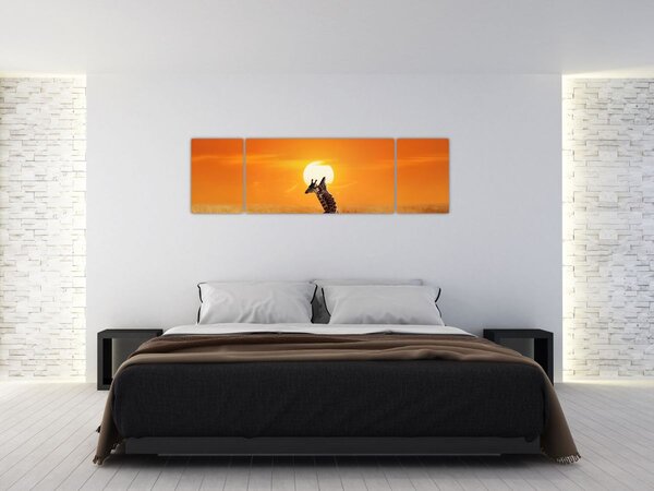 Obraz - Žirafy v národním parku Serengeti (170x50 cm)