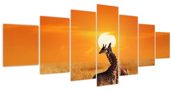Obraz - Žirafy v národním parku Serengeti (210x100 cm)