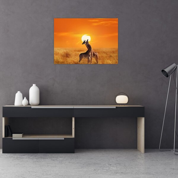 Obraz - Žirafy v národním parku Serengeti (70x50 cm)