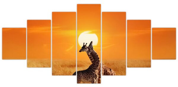 Obraz - Žirafy v národním parku Serengeti (210x100 cm)