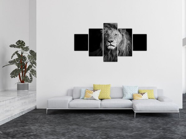 Obraz - Lev, černobílá (125x70 cm)
