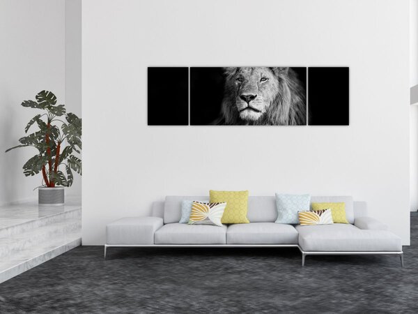 Obraz - Lev, černobílá (170x50 cm)
